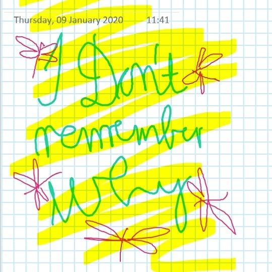 “I don’t remember why.” #concept #conceptual #conceptualartists #art #artforartssake #yellow #words #phoneart #digitalart #instagramart #dragonflies #what #2020 #artist #capetown